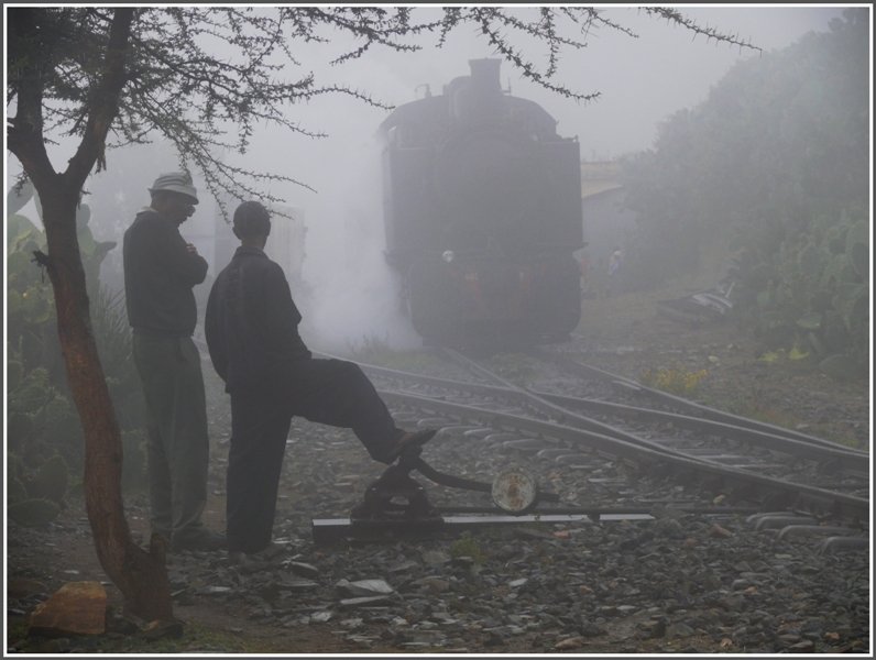 In Shegerini werden die zwei Zge wieder vereint. Eine gespenstische Szenerie in dieser feuchtwarmen Nebelsuppe, die so gar nicht zu Afrika passt. (01.11.2008)