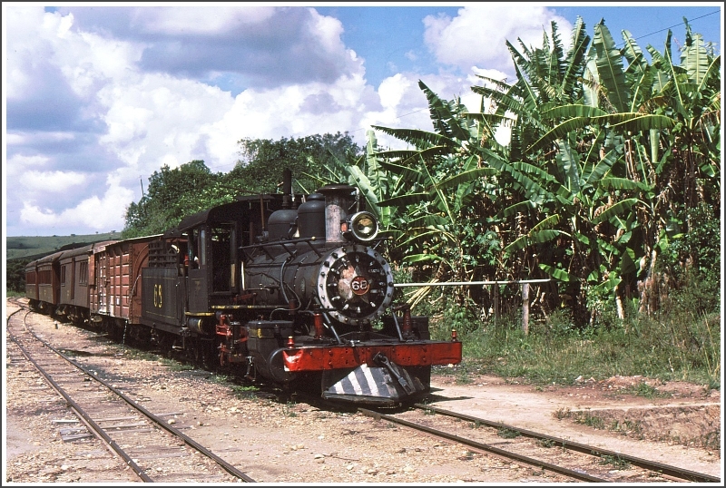 Irgendwo hinter den Bananenstauden gibts Wasser. Lok 68 mit einem kurzen GmP beim  Durst lschen , (Archiv 03/1979)