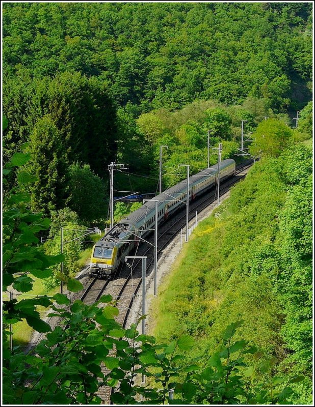Ist das ein blhender Ginsterstrauch in der grnen Landschaft? Nein, es ist die 3012 mit dem IR Liers-Luxemburg kurz vor der Einfahrt in den Tunnel  Kirchberg  in Kautenbach. 24.05.09 (Jeanny)