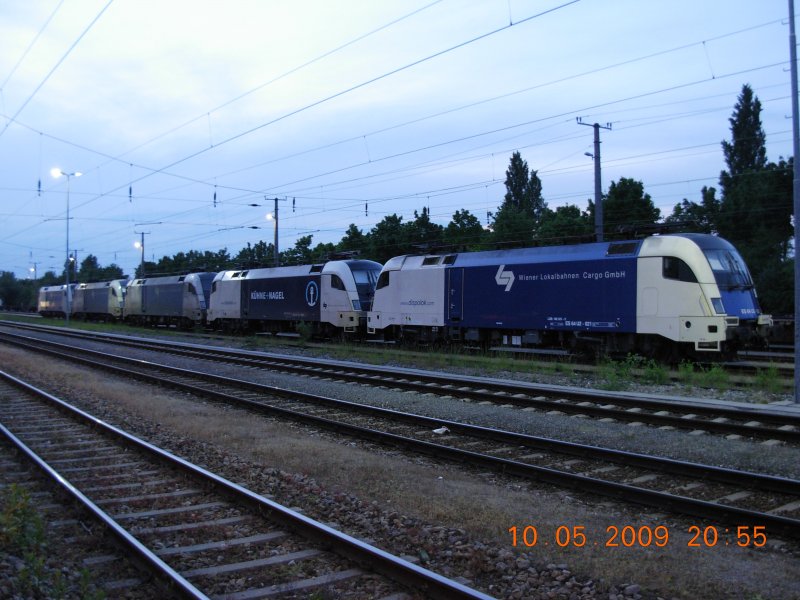 Jetzt sind es gar schon fnf; in immer greren Rudeln treten neuerdings die Lokomotiven der Wiener Lokalbahnen auf dem Donauuferbahnhof in Wien auf. Beim zweiten Fahrzeug in der Kette handelt es sich um die Lok von Khne+Nagel; Aufnahme vom 10.5.2009.