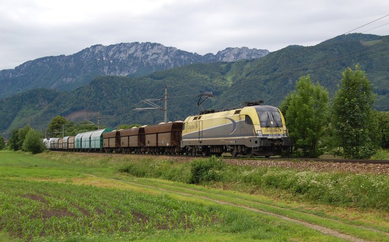 Kalkzug 61032 hat mit der ES 64 U2-081
am 08.06.2009  Kirchdorf/Kr.erreicht.
