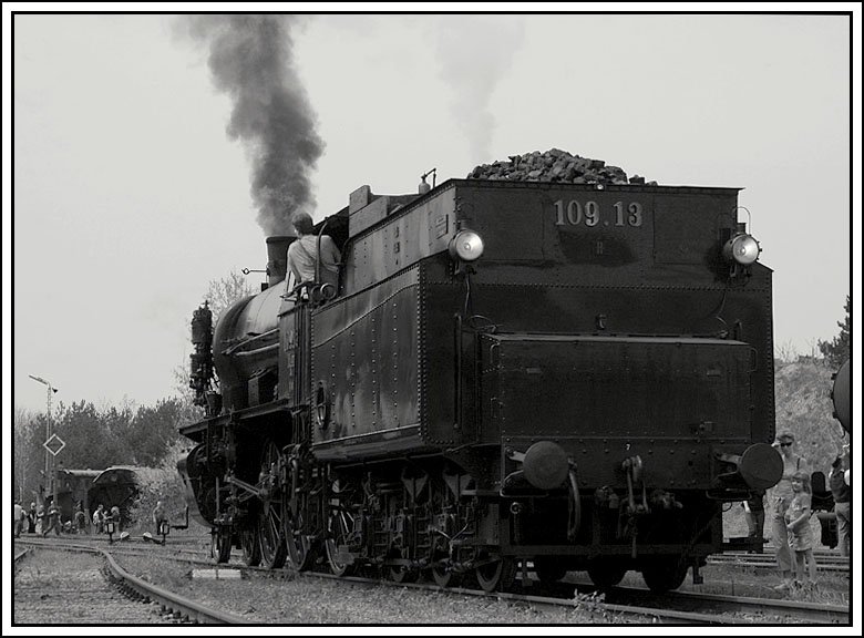 Kann auch ein Rcken entzcken? Ich finde schon. 109.13 bei Pendelfahrten im Heizhaus Strasshof anlsslich der Saisonerffnung am 23.4.2006