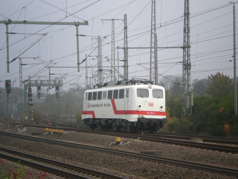 Kaum hatten es die ersten Sonnenstrahlen durch den Nebel geschafft,da kam auch schon der Star des Tages.Die 110 511 fuhr am 28.10.07,aus richtung Berlin kommend,in die Heimat nach Dessau.