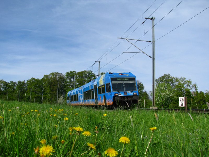 Kein anderer Zug passt meiner Meinung nach besser in diese Umgebung. Der Thurbo RABe 526 685 mit Ganzwerbung fr den Tarifverbund Ostwind auf dem Weg von Konstanz nach Weinfelden zwischen Berg und Kehlhof. (25.April 2009)