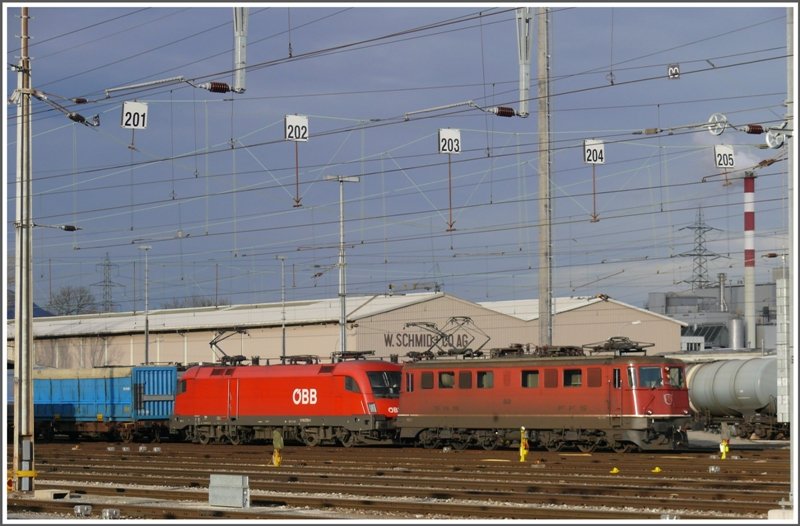 Keine Doppeltraktion, sondern nur so abgestellt in Buchs SG. Dem Alter entsprechend sehen sie auch aus, die Ae 6/6 11442 ex St.Gallen und die 1116 278-1. (02.02.2009)