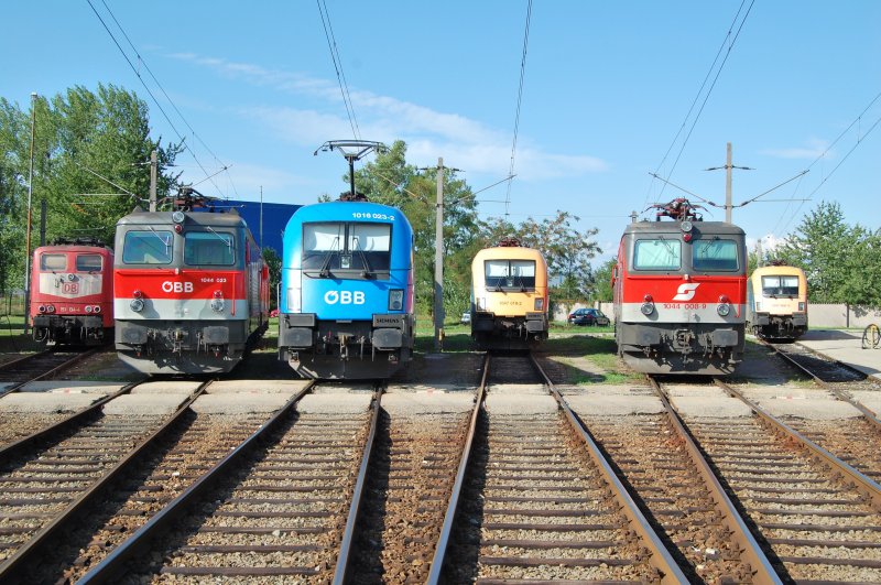 Kleine bunte Lokparade an 18.08.2007
in der Zgfrderung Wels:
Von links nach rechts :
151 134, 1044 023, 1016 023, 1047 010, 1044 008, 1047 006