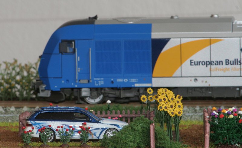 Kleines Modell-Diorama. Abmessungen ca. 25*50 cm. Detailbild.