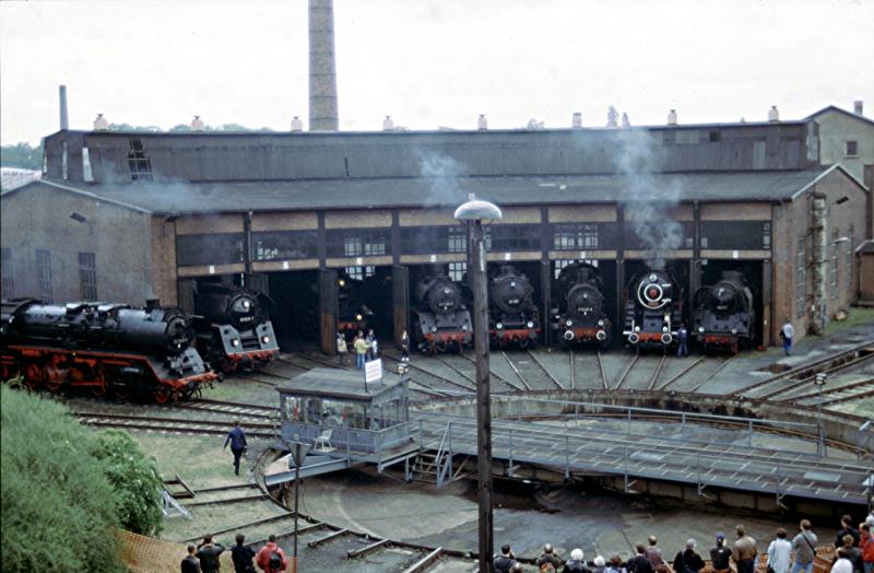 Knig Dampf regierte im schnen Dresden zum Dampflokfest 1999. Volles Haus im groen Bw.