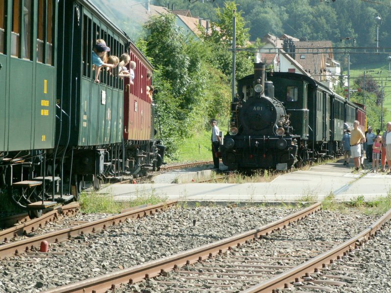 Kreuzung der beiden Dampfzge mit Lok 10 und Lok 401 in Bretswil.16.08.09