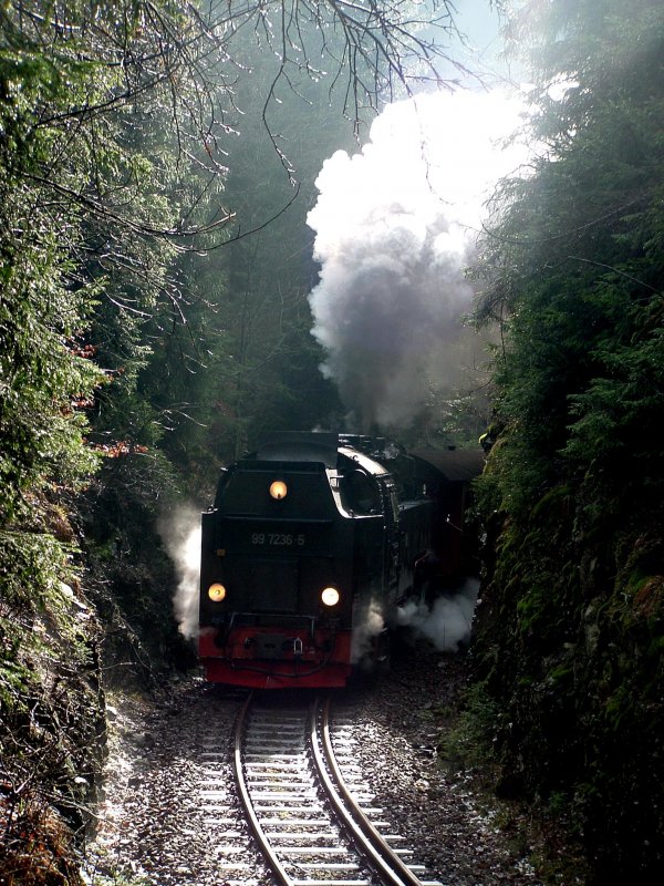Kurz hinter Eisfelder Talm�hle ! Einfach mal gegen das Licht fotografiert und irgendwie gef�llt es mir !