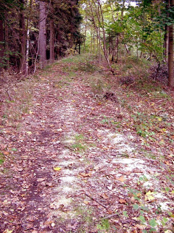 Kurz vor dem Geyerschen Widerlager des Greifenbachviaduktes liegen sogar noch Holzschwellen im Waldboden, dabei ist der/das Viadukt schon 30 Jahre verschwunden. 03.10.07