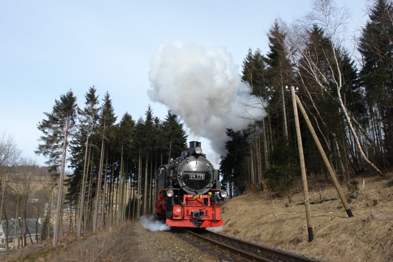 Kurz vorm Stachelbeerbahnhof (Unterneudorf) fuhr 99 773 mit dem Nachmittagszug nach Oberwiesenthal. (17.02.08)