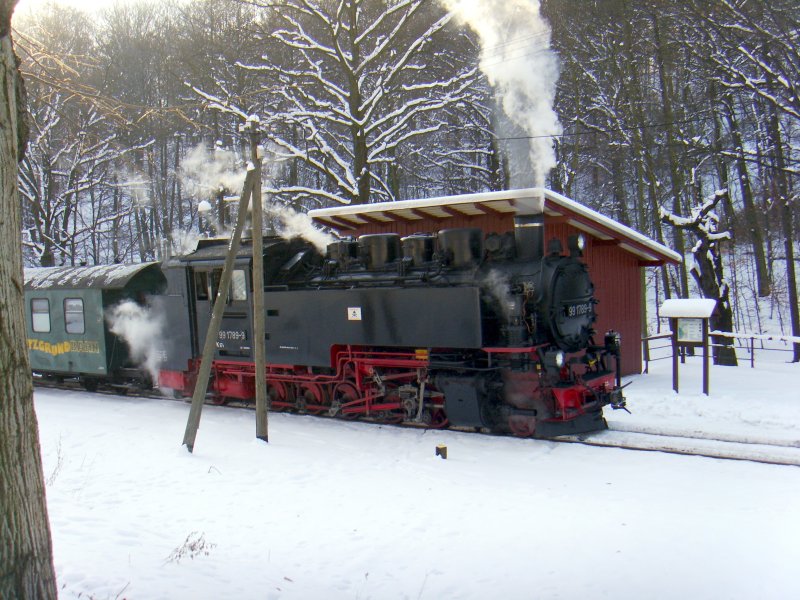 Kurzer Halt im Hp. Lnitzgrund, am 10.01.2009.