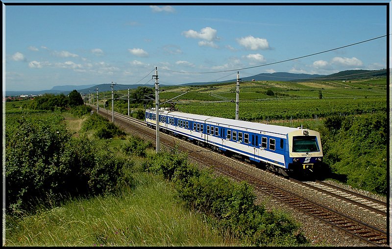 Lange Jahre versaht 4020 119 in Vorarlberg Dienst. Im Vorjahr wurde er von den Triebwagen der Reihe 4024 abgelst und wird nun im Groraum Wien im S-Bahnverkehr eingesetzt. Foto entstand am 15.7.2006 kurz nach Pfaffsttten.