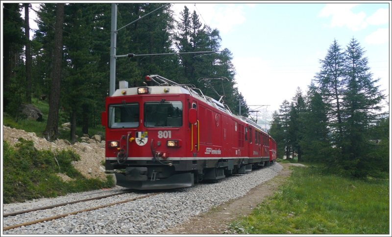 Langsam fhrt R1643 mir Gem 801  Steinbock  ber ein neu eingeschottertes Gleisstck bei Surovas. (03.07.2009)