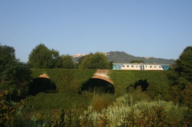 Leider hab ich das Motiv ein wenig versaut, da ich mal wieder zu viel wollte. Doch der Aln war schneller als ich beim zoomen und meine Kamera beim fokussieren. Ein Aln 668 auf der zugewachsenen Bogenbrcke in Ponte del Sobato; 17.09.2007