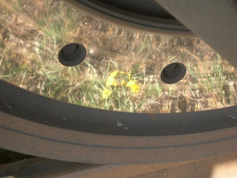 Leider kann ich zu dem Blmchen keine Angaben machen. Das Rad hingegen gehrt zu 285 102-0 der hvle. Tag der offenen Tr im Rbf Wustermark, 2009-05-01.