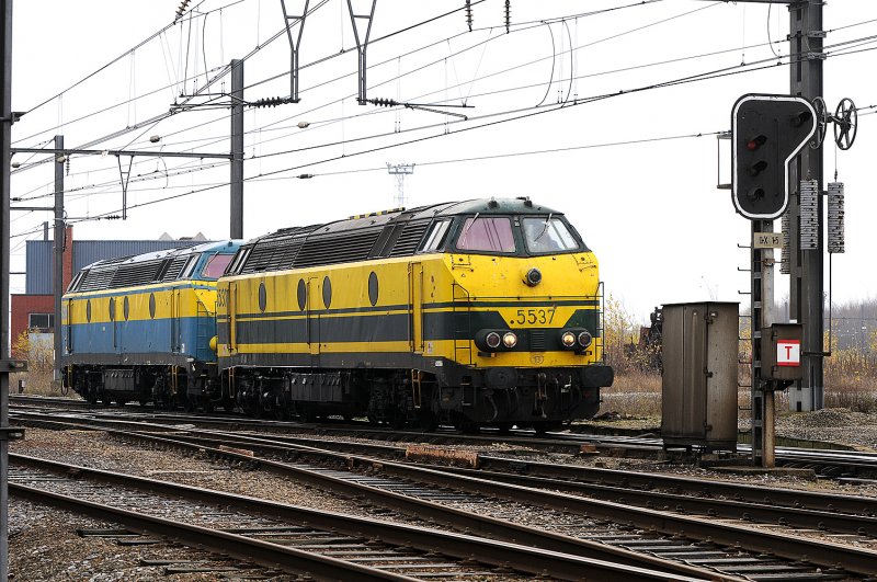 Letzte Einstze der 55er im Grenzgebiet zwischen Montzen und Aachen. Hier 5537 am 09.12.2008 in Montzen (B).