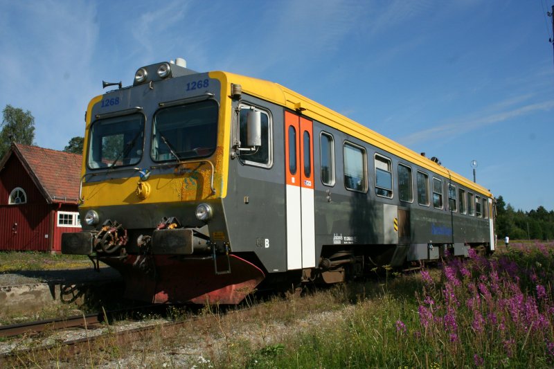 Liegen gebliebener Y1 1268 der Inlandsbanan am 29.7.2008 in sarna.