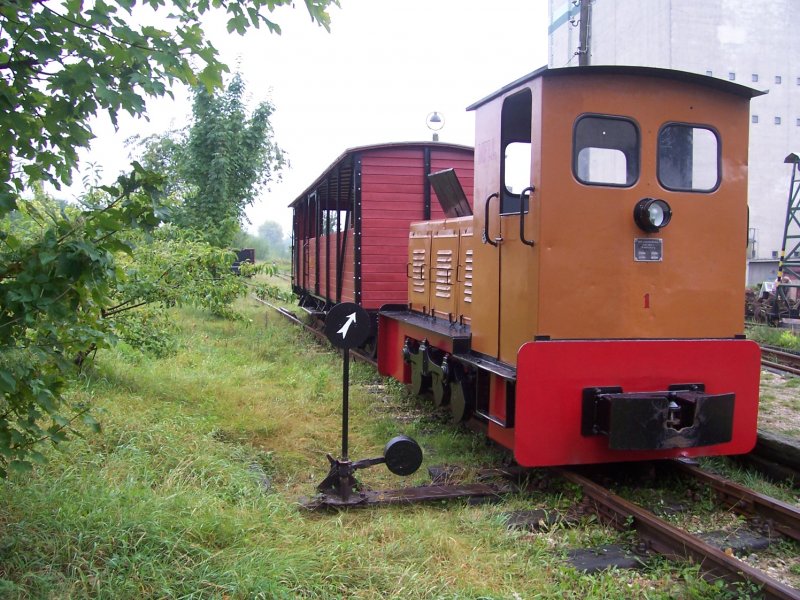 Lok 1 wartet im Museumsbahnhof auf Fahrg�ste, die sie dann im umgebauten G�terwaggon in den Sch�nauer Lachen, ein ehemaliges Kiesbaugebiet, bringen wird.