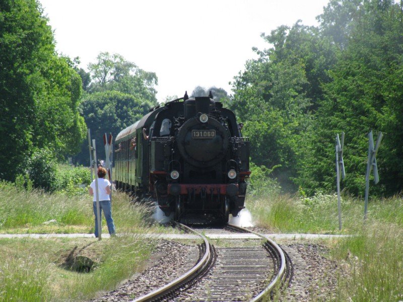 Lok 131.060 zieht den Sonderzug (DPE 88547) des Vereins Lbecker Verkehrsfreunde -VLV- zur Scheinanfahrt vor die Dabeler Mhle. 31.05.2008