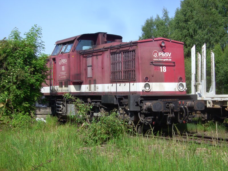 Lok 18 der PBSV Verkehrs GmbH (ex Baureihe 203) wartet am 25.05.09 in Arnsberg auf die Holzverladung.