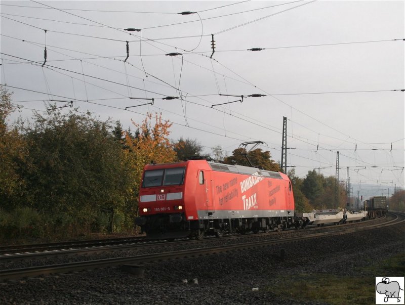 Lok 185 001-5 zieht einen Containerzug in Richtung Fulda. Die Aufnahme entstand am 19. Oktober 2008 bei Gtzenhof.