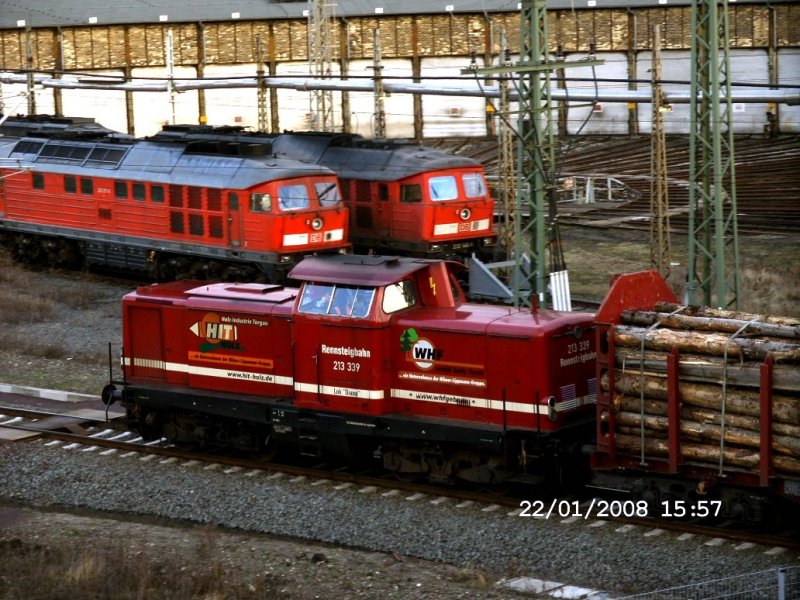 Lok 213 339 der Rennsteigbahn mit Holzzug hat einen Zwangshalt in Halle/Saale. 