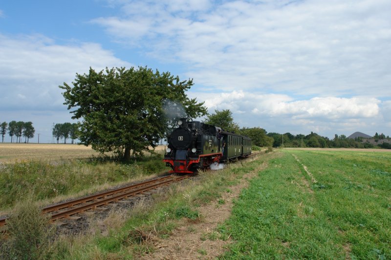 Lok 9 ist auf dem Weg nach Klostermansfeld-Benndorf und erreicht bald den Hp Bocksthal. Rechts im Hintergund sieht man eine fr diese Gegend typische Abraumhalde aus der Zeit des Bergbaus rund um Eisleben. (18.08.07)