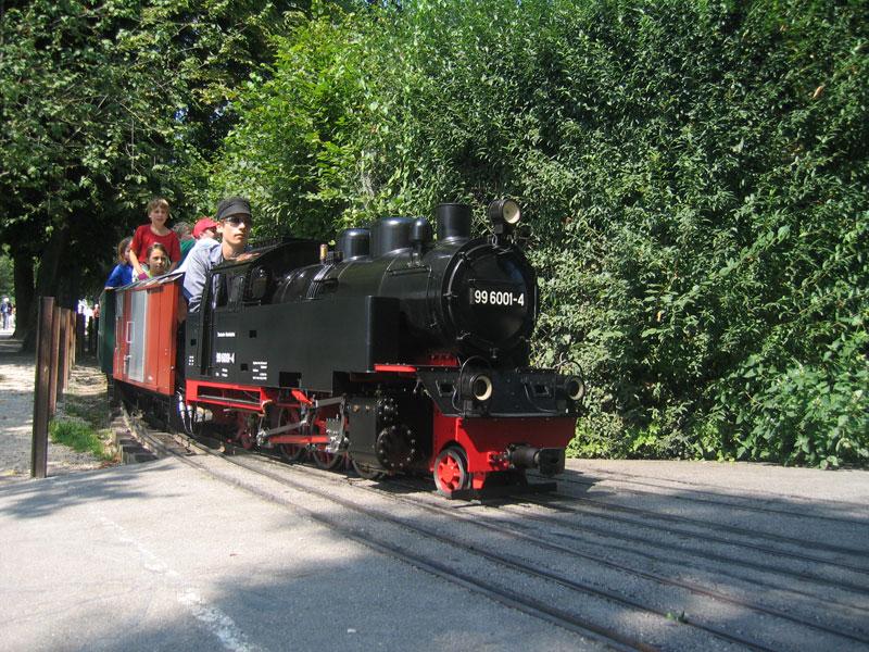 Lok 99 6001 der Harzer Schmalspurbahnen. Diese Lok verkehrt ab Saison 2001 bei der Steiner Liliputbahn. Spurweite 7 1/4 , Masstab 1:4 und hat ca. 900 kg.Gebaut 2000 durch Balson AG in Stein am Rhein.