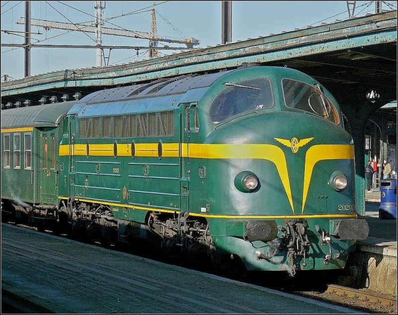 Lokportrait der Museumslok 202.020 aufgenommen im Bahnhof Gent Sint Pieters am 14.02.09. (Hans)