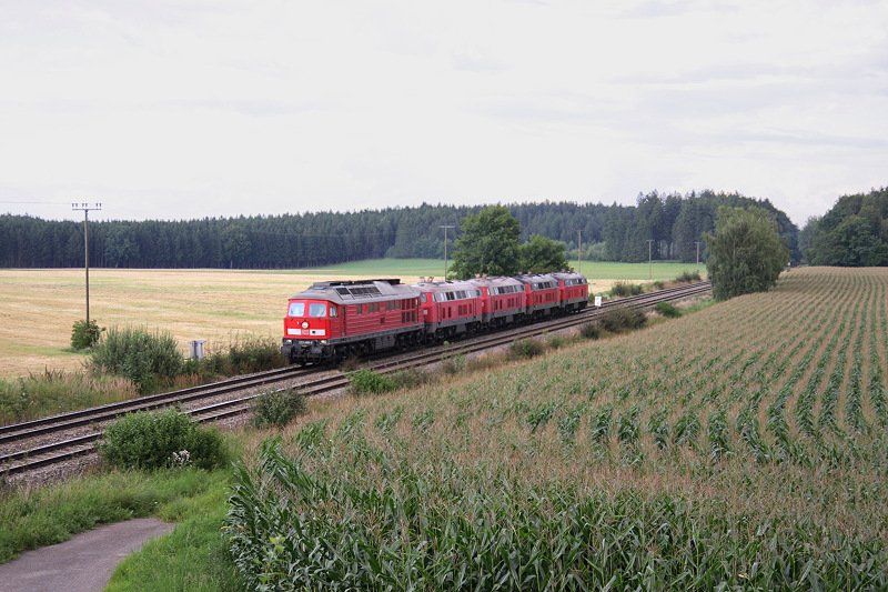 Lokzug 88792 fuhr am 09.08.2008 von Mnchen Laim Rbf nach Lindau Hbf. Zuglok war 233 486, im Schlepp die DT 218 396+397 sowie 218 345+487. Zweck der Fahrt ist die  Zufhrung der Lokomotiven fr die Albergumleiter.