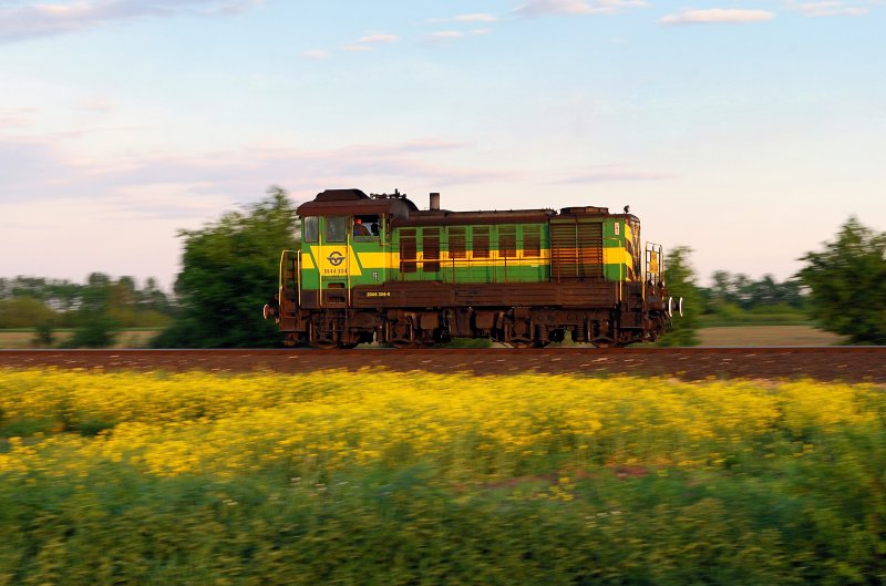 M44 304 bei Csorna (08.05.2008)