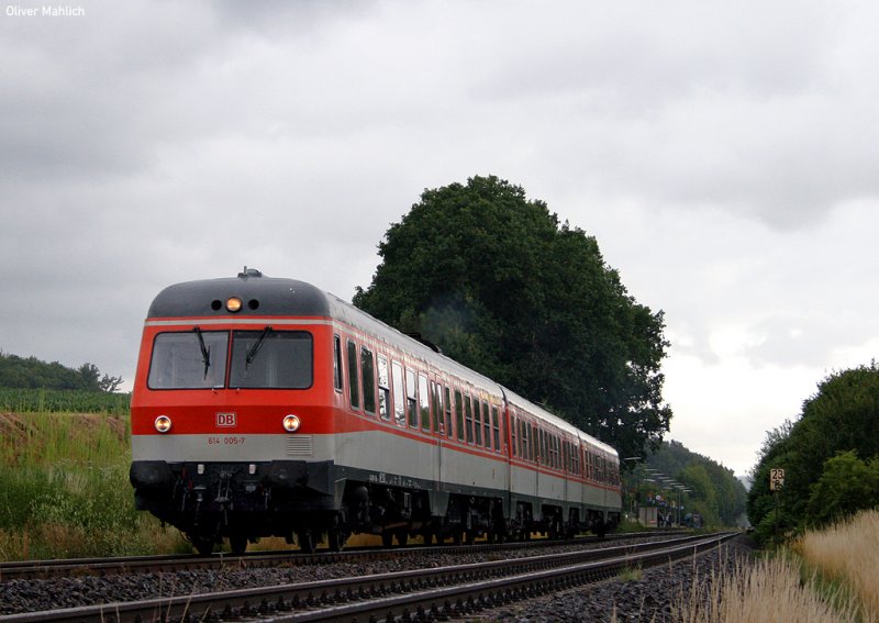 Macht auch bei Regen eine gute Figur als Farbtupfer: 614 005/006 in  Popfarben , am 30. Juni 2007 in Reichenschwand.