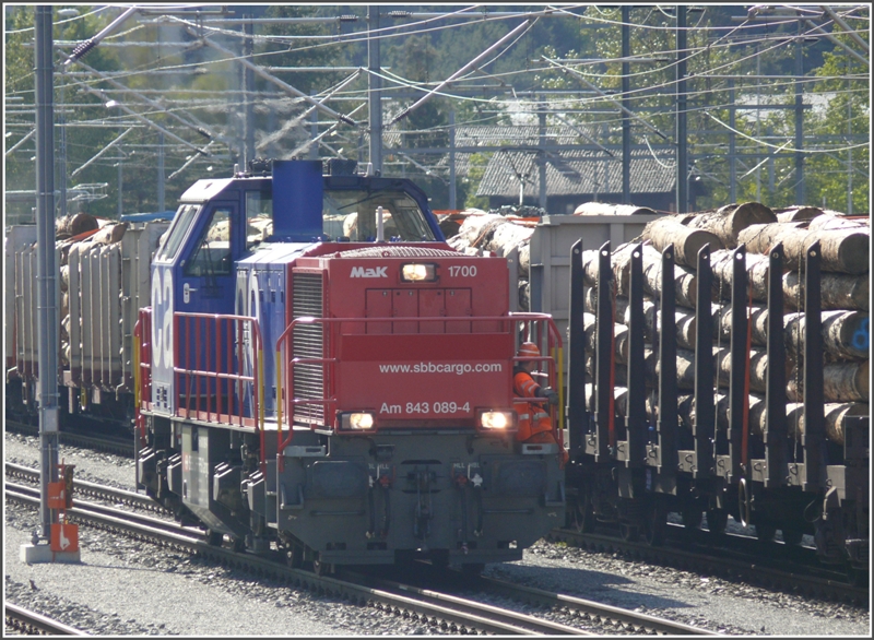 MAK1700 Am 843 089-4 rangiert Holzwagen der Sgerei Mayr Melnhof in Ems Werk. (14.09.2009)