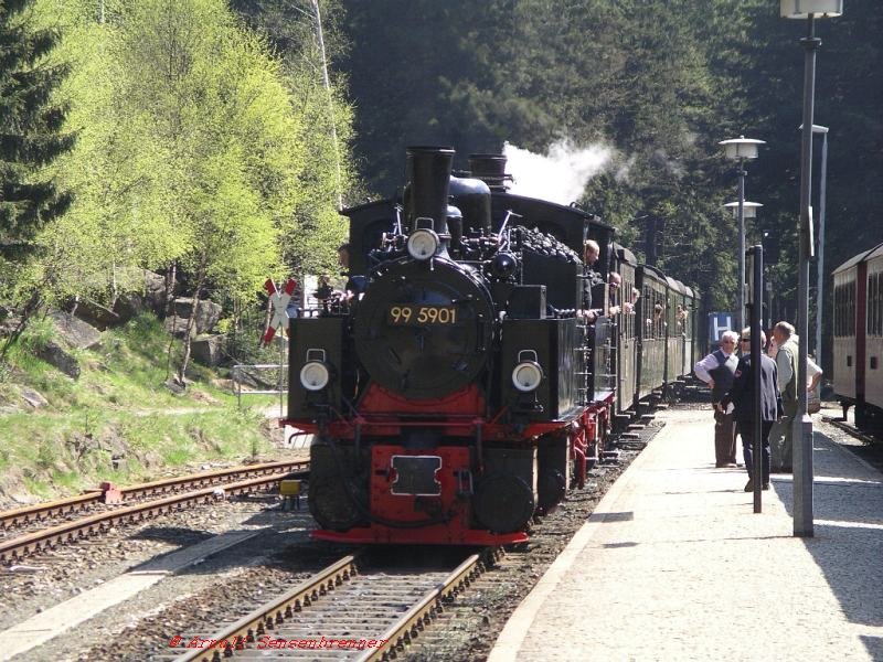 Mallet-Doppel: 
99 5901 (Bj.1897) und 99 5902 (Bj.1898) fahren in Doppeltraktion mit einem Sonderzug hoch zum Brocken in Schierke ein. 
01.05.2005 Drei-Annen-Hohne


