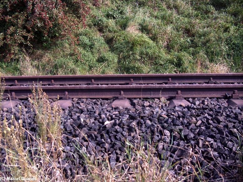 Man knnte denken.dass jeden Augenblick ein Lint vorbei kommt.
Zwischen km 220,0 und km 220,1.