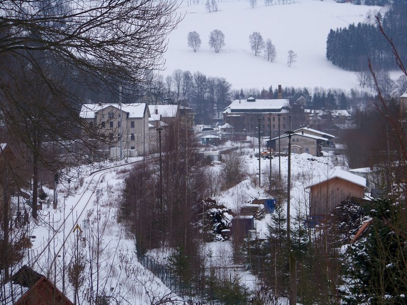 Man sieht den Wald vor lauter Bumen nicht - oder den Bahnhof? Wo frher tgich mehrere hundert Waggons hin- und herrangiert wurden, ist heute ein Paradies fr Katzen, Vgel und alles was sonst noch durch die Natur krucht und fleucht... Am linken Bildrand die Strecke nach Zwotental.