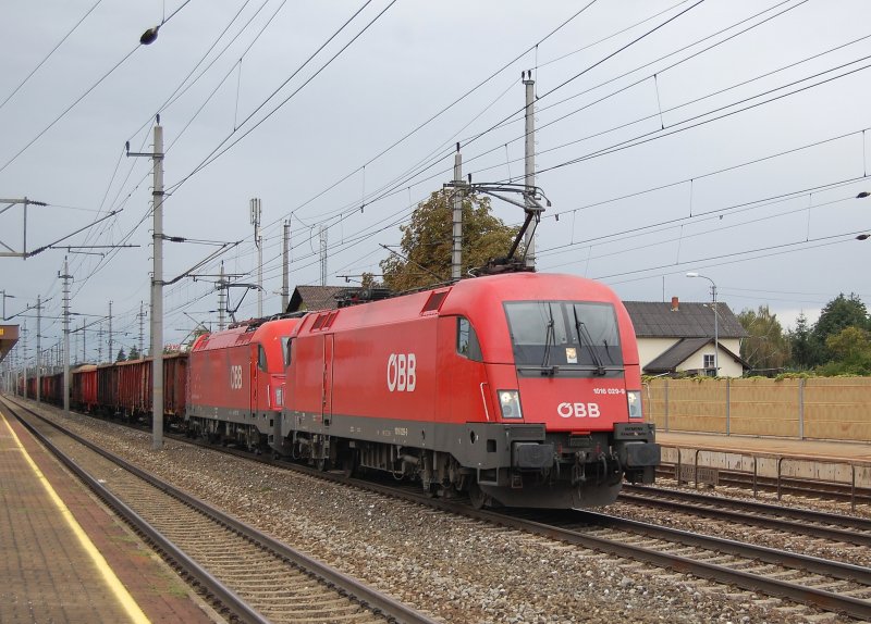 Manchmal drcke ich auch bei roten Ochsen ab.
So wie am 20.09.2008 in Marchtrenk.
Da ist die 1016 029 im Tandem mit einer
1216 samt Gterzug durchgefahren.
