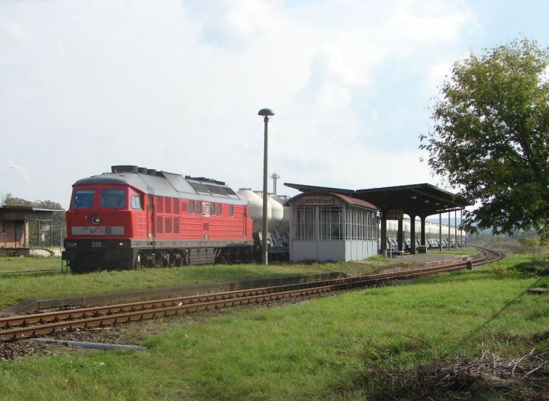 MEG 315 mit einem Zementzug im Bahnhof Laucha (Unstrut); 07.10.2007