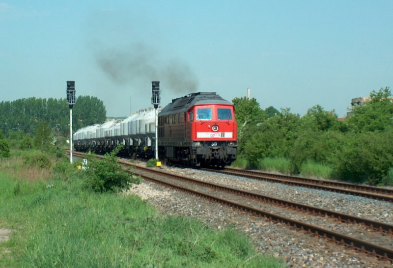 MEG 317 mit dem DGS 94624 von Karsdorf nach Rostock bei der Aufahrt in Laucha (Unstrut); 13.05.2008 