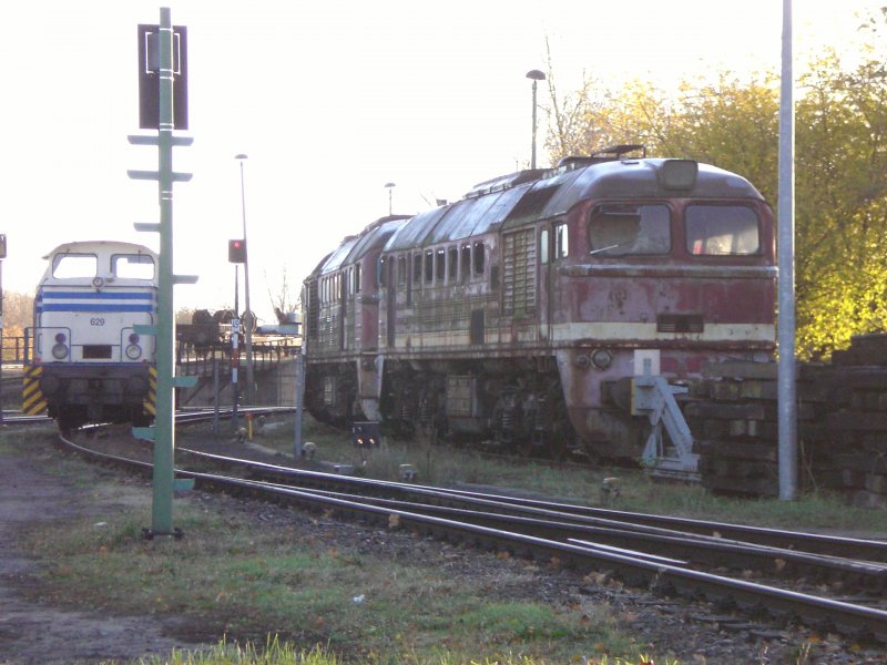 Mehrere DR V 200 stehen abgestellt, neben der Werkslok 629 (ex DR V 60), im Bahnhof Brandenburg Altstadt. Juli 2006. 