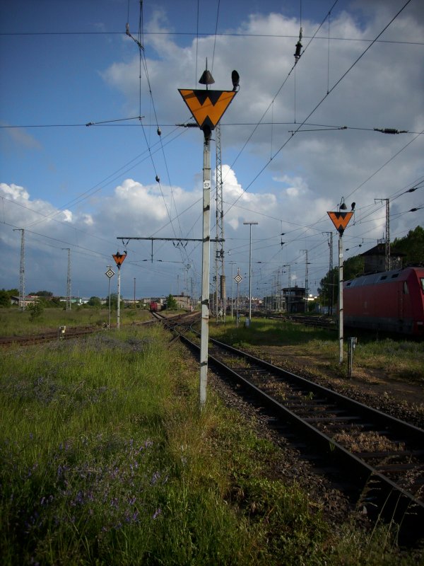 Mehrere Wrtersignale in Stralsund.