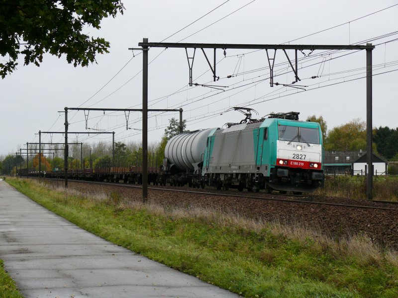 Mein heutiger Ausflug nach Diest h�tte wetterm�ssig zwar besser sein k�nnen, doch kamen an dieser sch�nen Fotostelle einige interessante Z�ge vorbei. Hier Cobra-Lok 2827 mit einem kurzen gemischten G�terzug. Aufgenommen am 24/10/2009.