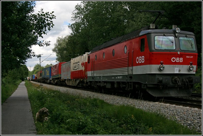 Meine Lieblingslok und der Hund links im Bild: Die Innsbrucker 1144 217 bringt am 27.06.07 einen KLV-Zug zum Brenner. Leider haben ein paar Wolken die Sonne verdeckt sonnst wre der Zug im Sonnenlicht gewesen.