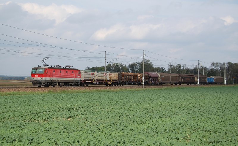 Mit einem nicht allzulangen Gterzug war 
am 02.10.2009 die 1044 016 auf der Westbahn
zwischen Gunskirchen und Lambach unterwegs.