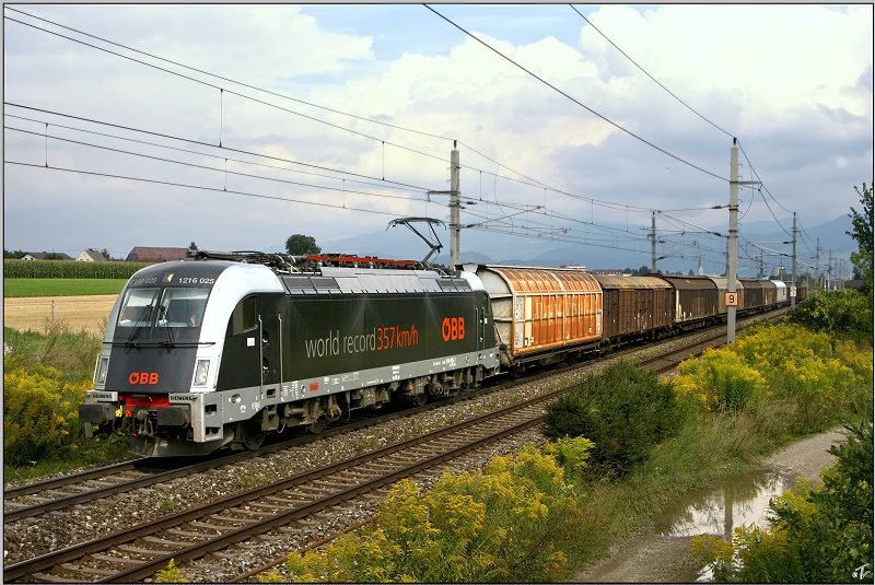 Mit einem Papierzug fhrt 1216 025  World Record  von Zeltweg nach Villach.
Zeltweg 22.08.2009 