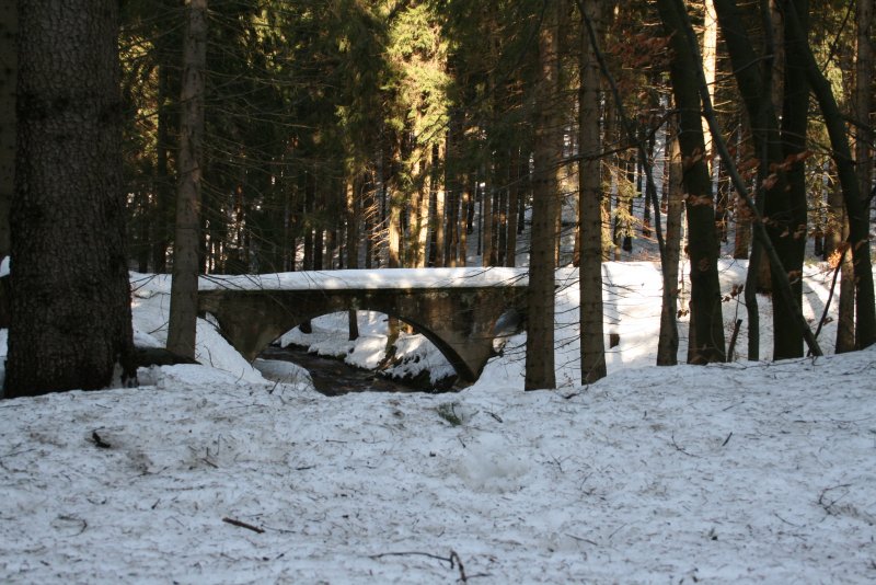 Mit Hilfe dieser kleinen Betonbr�cke �berwand die  Bimmelbahn einst die Wilzsch zwischen Sch�nheide-S�d und Carlsfeld bei Blechhammer.