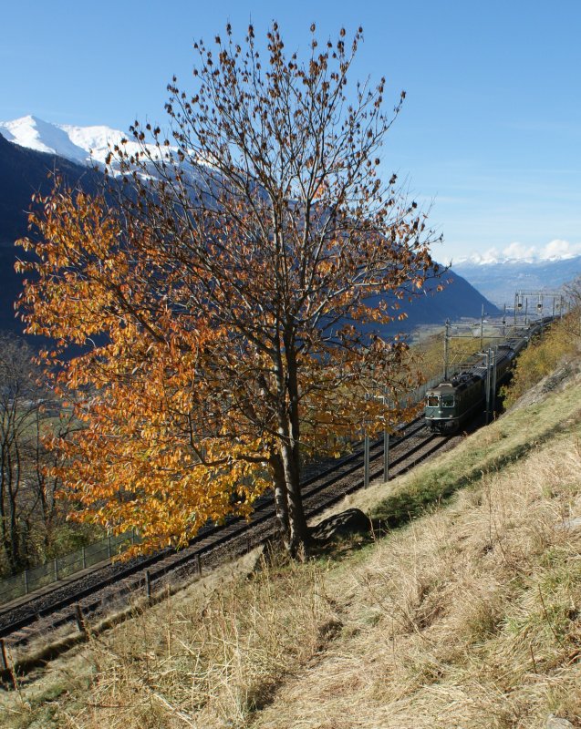 Mit nur etwa einer viertel Million Pixel mssen sich bei diesem Bild Zug und Bahnanlangen begengen, die andern etlichen Million sind natrlich fr die Landschaft bestimmt. 
Re 4/4 II N 508 in diskretem Grn mit RE 3261 kurz nach Egerberg  Richtung Lalden am 8. November 2008
