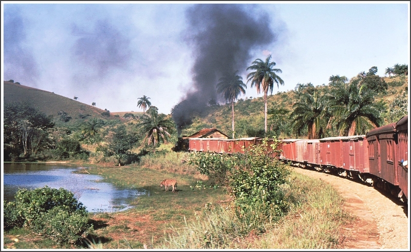 Mit Volldampf und vielen leeren Gterwagen gehts zurck nach Sao Joao del Rei. (Archiv 03/1979)